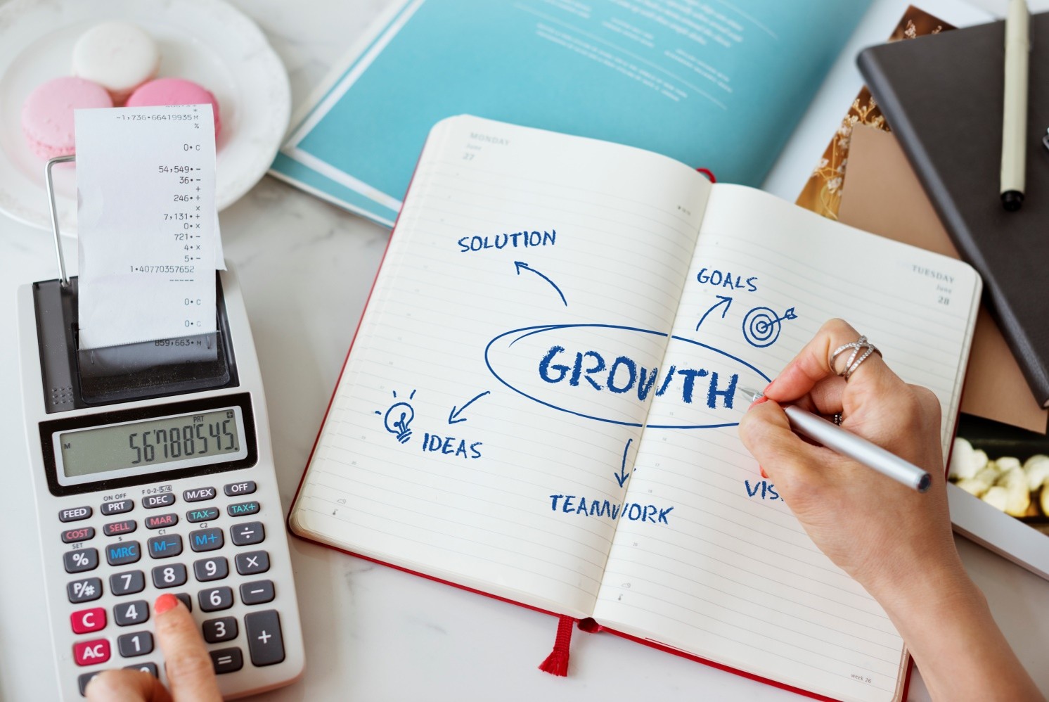 Business Growth Consultant